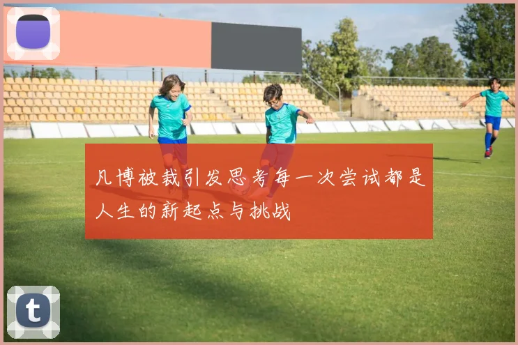 凡博被裁引发思考每一次尝试都是人生的新起点与挑战